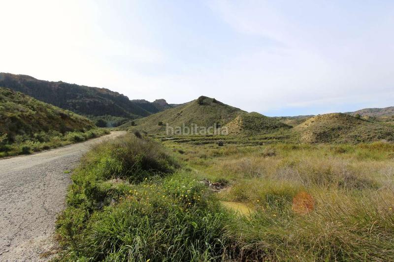 Foto bd55ad7f-2f55-440d-812b-ea4d481f1fdb. Pis a Algezares Murcia