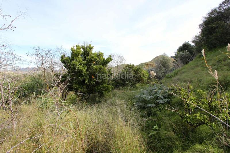 Foto c237fdcd-f5bc-415d-be58-48061cb53738. Pis a Algezares Murcia