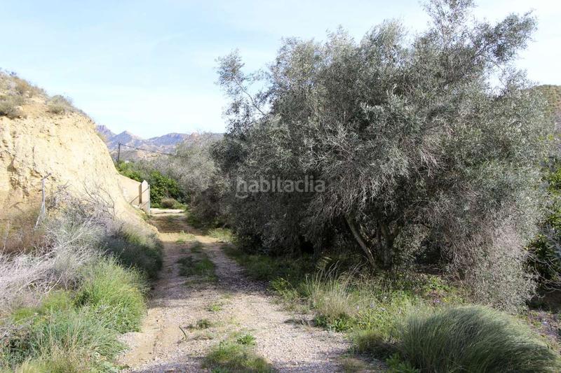 Foto ddef8c6d-0801-4978-8b65-bd17f126fe15. Pis a Algezares Murcia