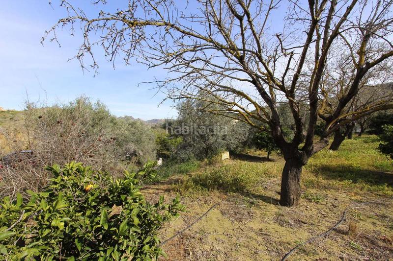 Foto ef326e75-6371-4ae1-9054-7f83d8188b2e. Pis a Algezares Murcia