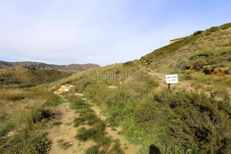 Foto ef55dfa6-ab77-4687-a48e-c4e36263305f. Pis a Algezares Murcia