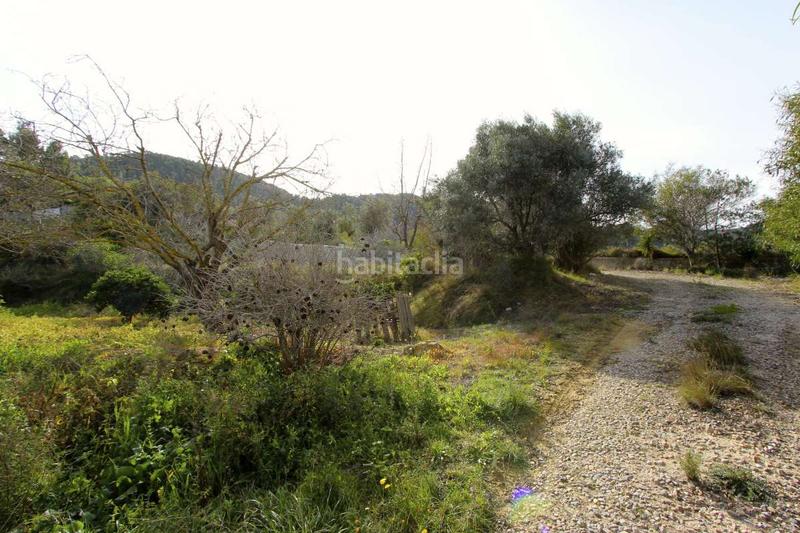 Foto fe5616c6-4f1e-49b9-8733-83493c1d423c. Pis a Algezares Murcia