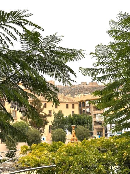 Foto a9de1d3a-1412-47fd-a8ec-18d39fdf291f. Appartement dans San Mateo Lorca