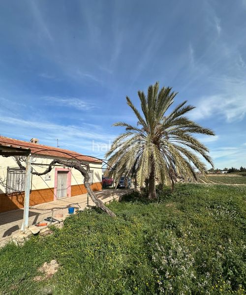 Foto 8e809a40-b60a-4134-b9f3-3bc6ffcc5c2d. Mas dans Purias Lorca