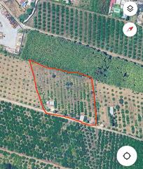 Finca rústica en El Romeral-Peñón de Zapata. Parcela agrícola con naranjos en producción y casa móvil