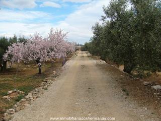 Masia a Ampolla (L´). Finca rustica en l'ampolla de mar