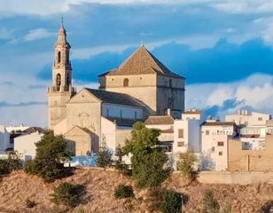 Finca rústica a Rambla (La). Parcela de olivar en venta – 19 fanegas | riego aprobado | cerca