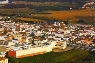 Lloguer Nau industrial a Carlota (La). Alquiler de espacio de aproximadamente 10.000 m² dentro de gran