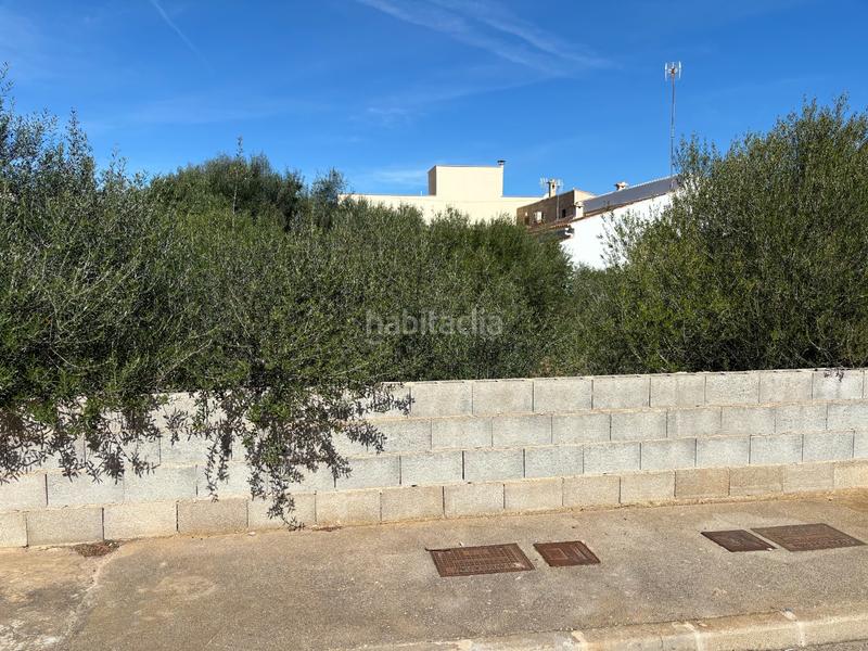 Foto 3f07ffa7-89c2-487a-a599-d3e6ccbe73c4. Terreno residencial solar para edificar en s’estanyol en Llucmajor