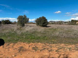 Finca rústica a Llucmajor Interior. Finca rustica de 1 cuarterada