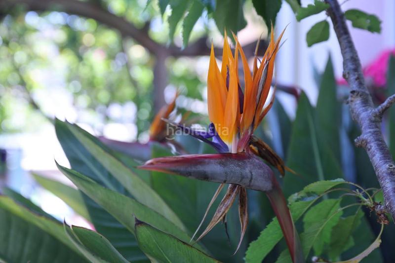 Foto 745ef100-a72a-4e09-aa02-28d67da4b262. Casa amb aparcament piscina a Muga - Gran Reserva - Badia Empuriabrava