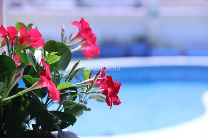 Foto fdbc11a5-ef2d-4fd0-9bca-49040bb18082. Casa amb aparcament piscina a Muga - Gran Reserva - Badia Empuriabrava