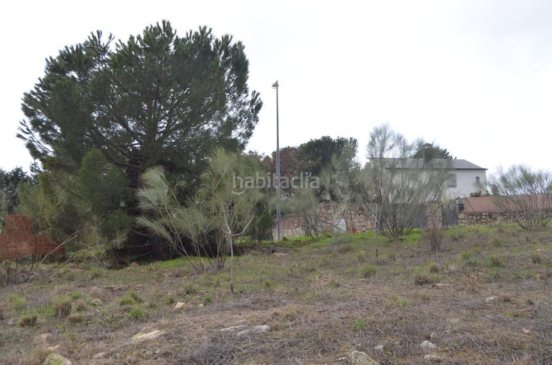 Foto 2df28ccd-8f2c-421b-b407-a2d42689fe1b. Terreny residencial a Colmenarejo