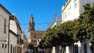 Pis a Sta. Marina - San Andrés - San Pablo - San Lorenzo. Coqueto piso en el centro histórico  al lado de la iglesia de sa