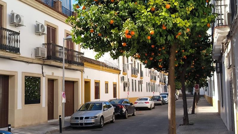 Foto 0484b181-417d-47e0-9501-a61c1ec8b454. Pis a Sta. Marina - San Andrés - San Pablo - San Lorenzo Córdoba