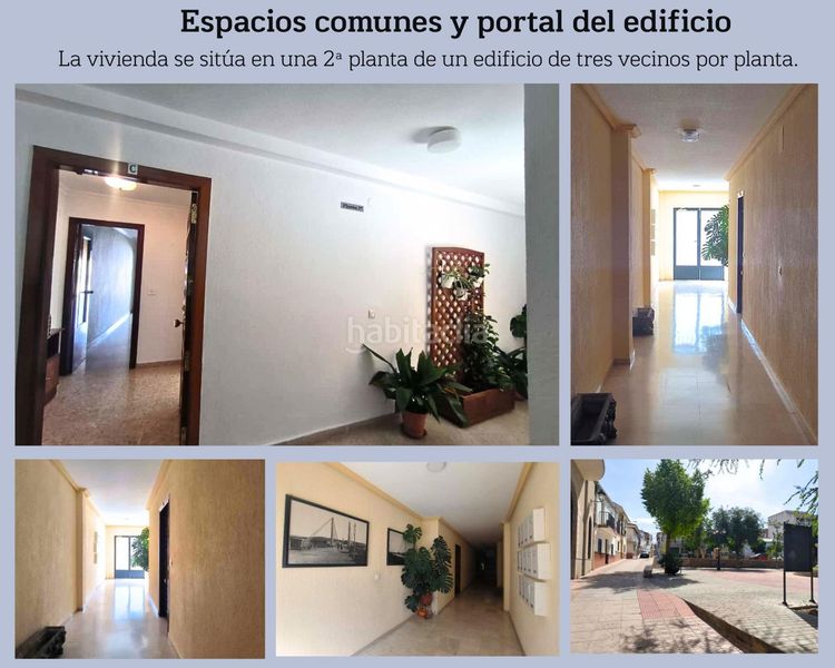 Foto a0228f00-e220-48d4-a886-ec9bf5333d81. Pis a Mengíbar