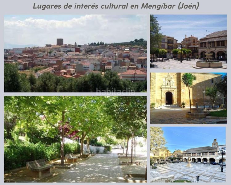 Foto f3dce3a5-ee25-48ca-bbd3-6b24585b3aa7. Pis a Mengíbar