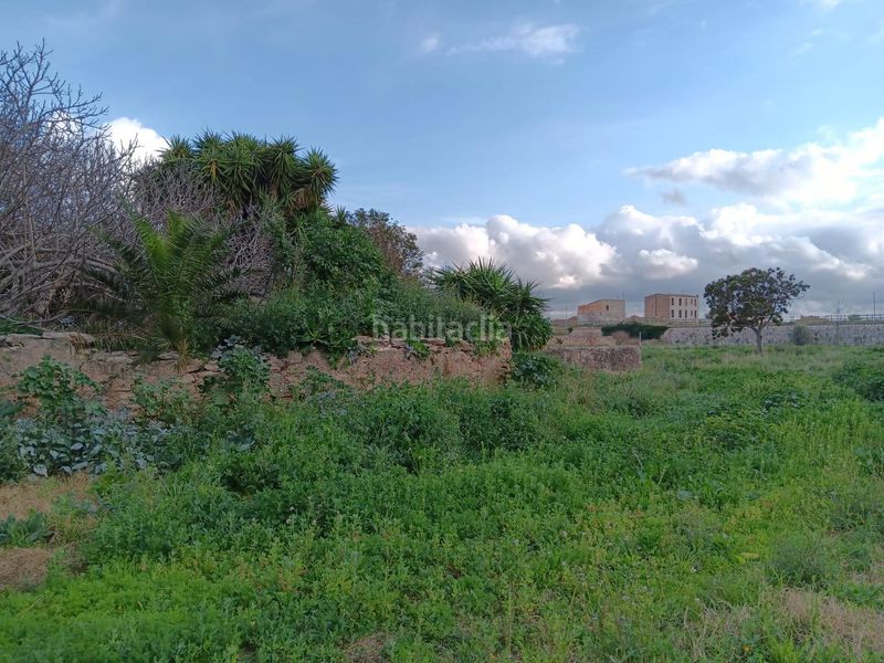 Foto 995e8ae3-727a-463e-a2f7-600e504f9919. Terreny residencial a Ferreries Tortosa