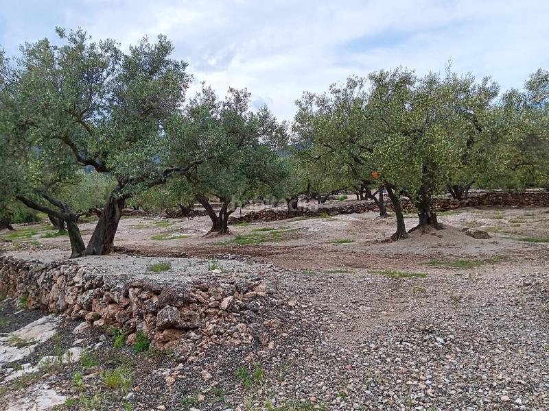 Foto 2e9e6b9f-83b6-4250-abca-1dca63a23405. Terreno residencial en Roquetes