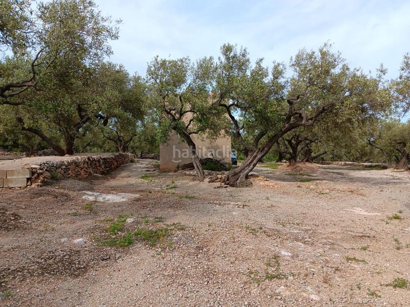 Foto 8a600d48-39c2-4437-8e8d-3266f8003527. Terreno residencial en Roquetes