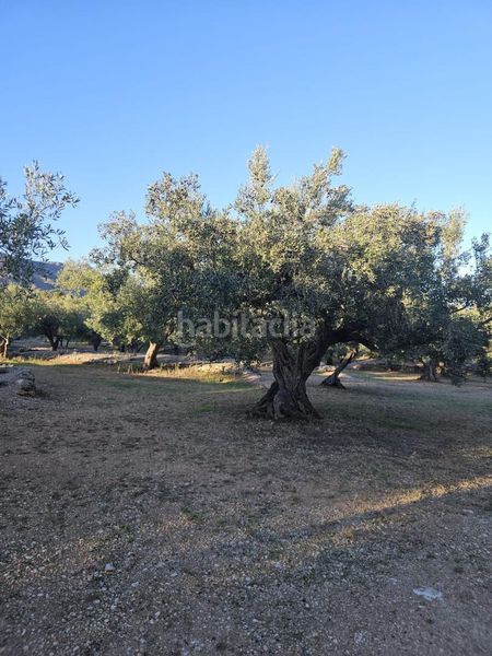 Foto af8567e2-f314-47be-8584-a254b3c72e4d. Wohngrundstück in Aldover