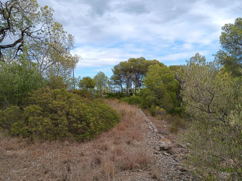 Foto 6b92bbdb-f33a-4411-812d-12527be414c5. Terreno residencial en Jesús - Els Reguers Tortosa