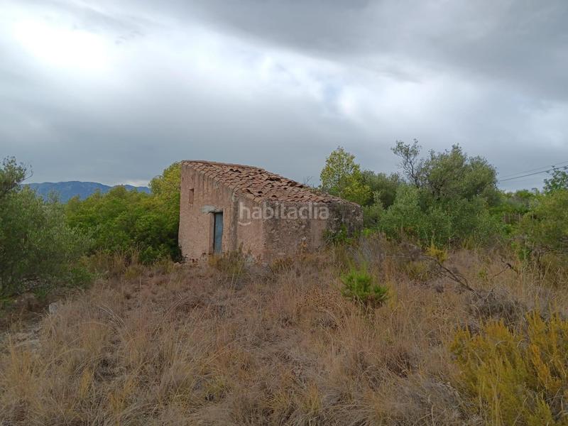 Foto 7ac54edd-5f90-47d9-9786-53332a411a34. Terreno residencial en Jesús - Els Reguers Tortosa