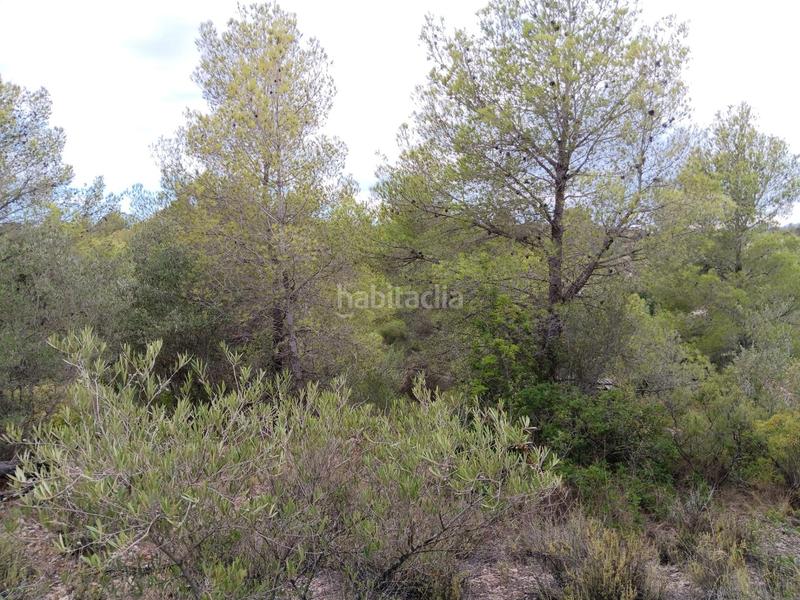 Foto 90d0feb8-0738-4b44-87f7-3712b12dbfd9. Terreno residencial en Jesús - Els Reguers Tortosa