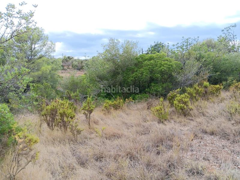 Foto a5236bcf-697d-4e06-93da-eacb9a47809f. Terreno residencial en Jesús - Els Reguers Tortosa