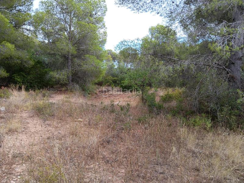 Foto ff99a24e-1767-4321-96a9-50ec67641f68. Terreno residencial en Jesús - Els Reguers Tortosa