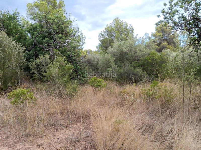 Foto 00aebfcf-71fc-4235-bb1f-2e87c7dd36b4. Terrain résidentiel dans Jesús - Els Reguers Tortosa