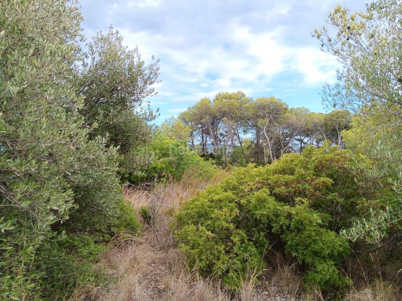 Foto 2657844b-5443-4981-a689-b04daac687cc. Terreno residenziale in Jesús - Els Reguers Tortosa