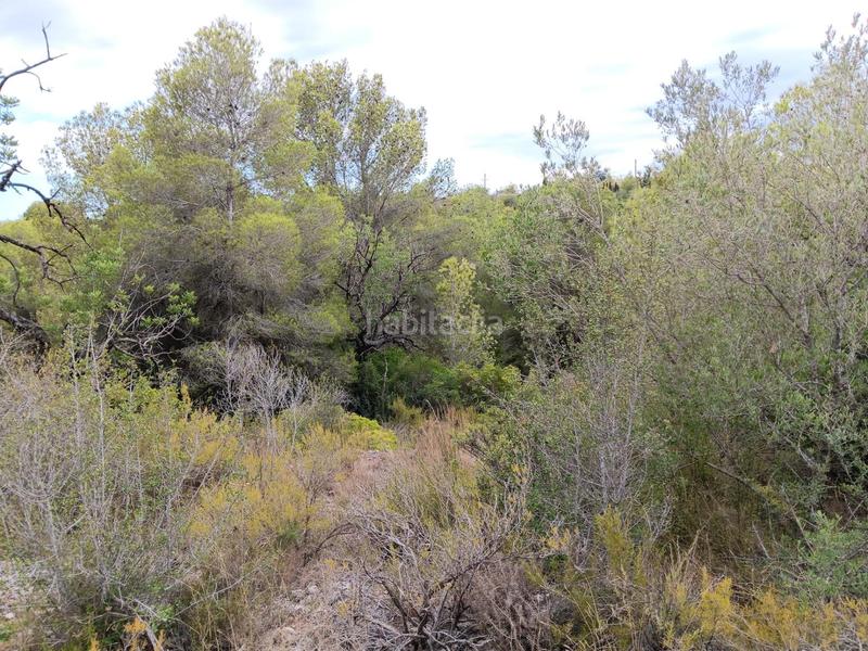 Foto 6c4f8eb2-97cb-470b-84d0-b4609a3db9f3. Terreno residenziale in Jesús - Els Reguers Tortosa