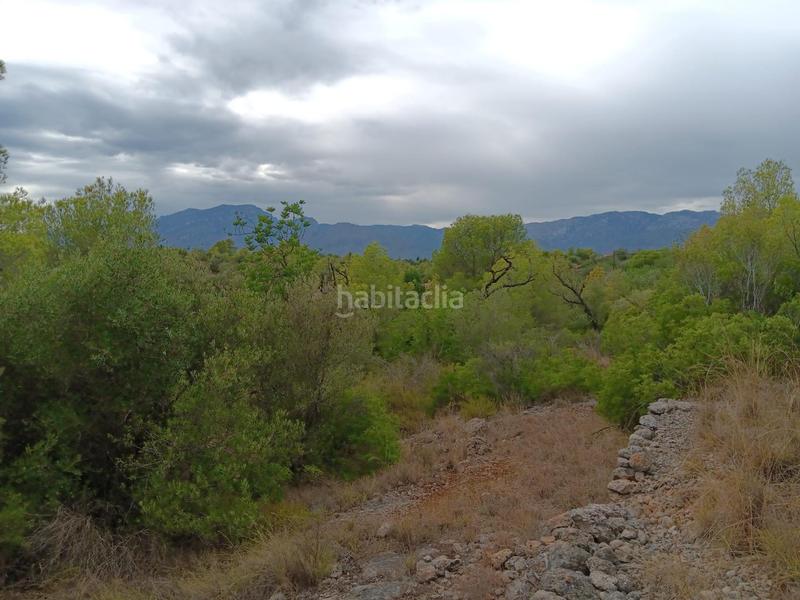 Foto 88088e4e-64dd-4f9a-b5ba-c46ad37e45d8. Terreno residenziale in Jesús - Els Reguers Tortosa