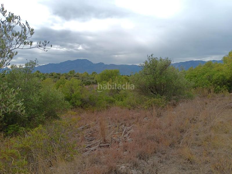 Foto 43600dac-ae48-4980-aeee-8066744d1bfd. Wohngrundstück in Jesús - Els Reguers Tortosa