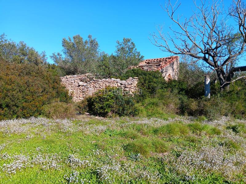 Foto 3464e898-fd93-4334-9165-a0f4182d0124. Terreny residencial a Roquetes