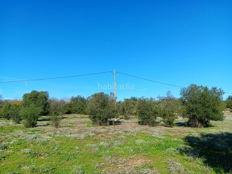 Foto 4fa04820-b3f6-4dbe-89af-87f574277699. Terreny residencial a Roquetes