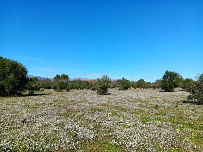 Foto 745f8409-ef40-4cfe-af3c-6192620712a9. Terreny residencial a Roquetes