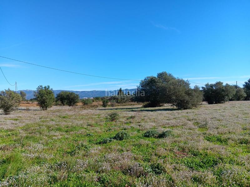 Foto ae8d099e-c977-4ea5-9d87-3349a8bfc8ff. Terreny residencial a Roquetes