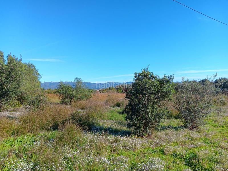 Foto c4387e9b-3ac5-4069-81af-288636b6b0fb. Terreny residencial a Roquetes