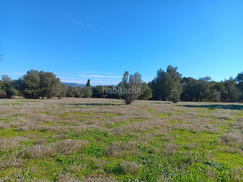 Foto 1be7f7e2-5077-47a2-a44b-38f87be0f088. Residential plot in Roquetes