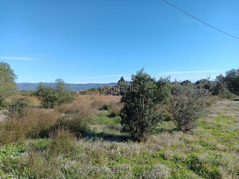 Foto 49117fc3-829b-4562-a054-9f3dc7b92a7b. Residential plot in Roquetes