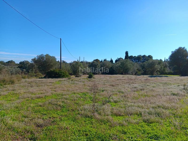 Foto 76d10fdf-3e95-420d-a7be-98a177270075. Residential plot in Roquetes