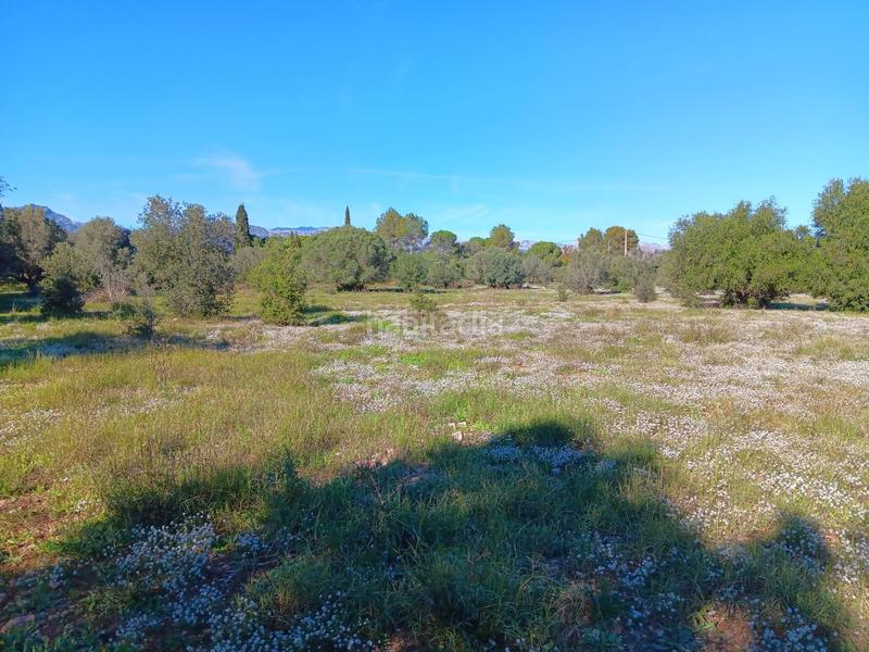 Foto 9d553510-c9c2-4166-ac1a-a76a917bb2cd. Residential plot in Roquetes