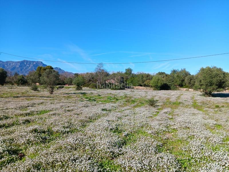 Foto 9fd2af8b-3597-4de8-b008-d5cfed2381f7. Residential plot in Roquetes