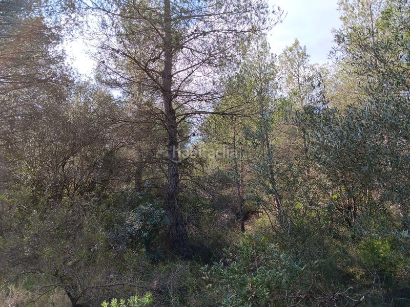 Foto 42ebeaee-3e13-45e0-8e71-9e806cdf68a8. Terrain résidentiel dans Ginestar
