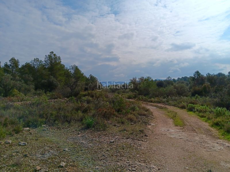 Foto 4aadd9df-de3f-4cbb-bcac-266b7162fa03. Terrain résidentiel dans Ginestar