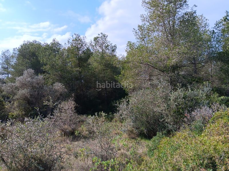Foto 5d32abcb-ee20-459b-80cd-d8a5befe2815. Terrain résidentiel dans Ginestar