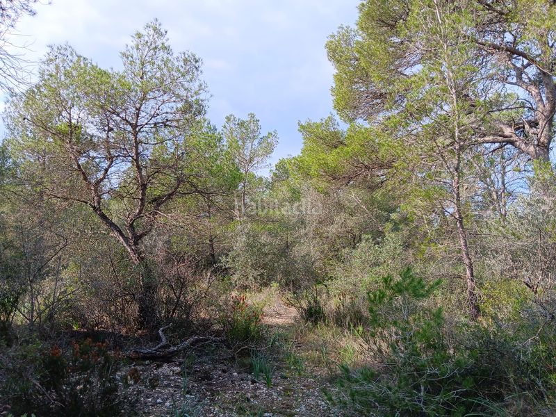 Foto 6202e41b-a592-4029-8ab5-fea4fb5de115. Terrain résidentiel dans Ginestar