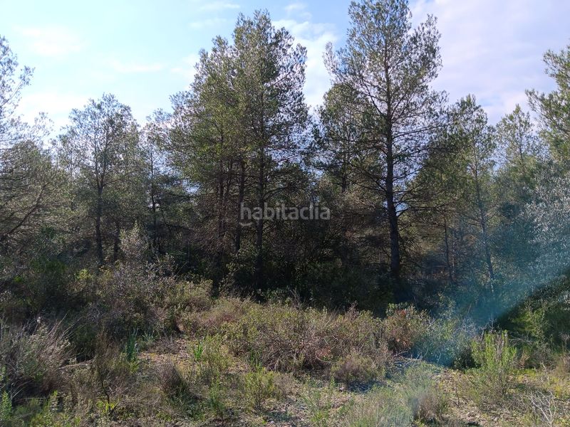 Foto 98dade78-a2ce-47ad-b710-437c74243a97. Terrain résidentiel dans Ginestar
